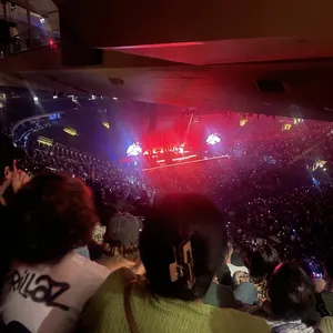 concert photo