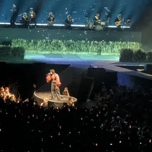 concert photo