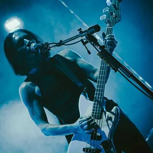 concert photo