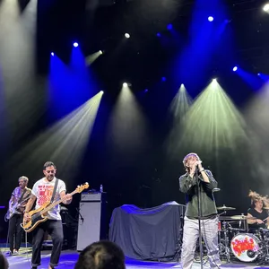 concert photo