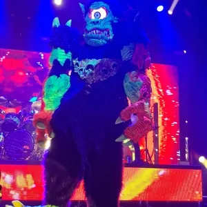 concert photo