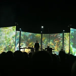 concert photo