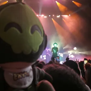 concert photo