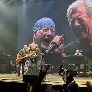 concert photo