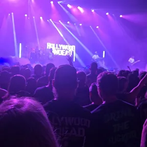concert photo