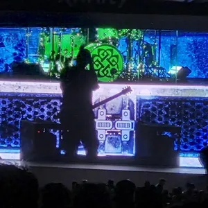 concert photo