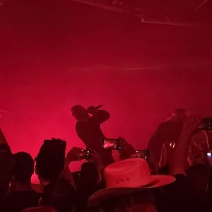 concert photo