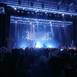 concert photo