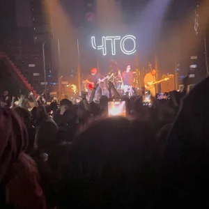 concert photo