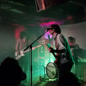 concert photo