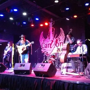 concert photo