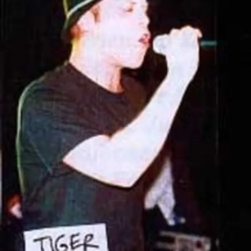 Black Tiger