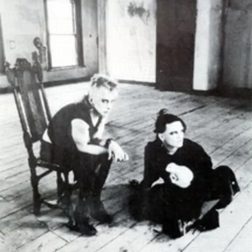 Virgin Prunes