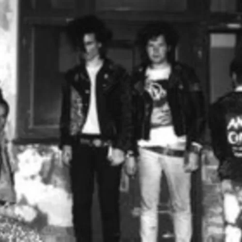 Anti Cimex