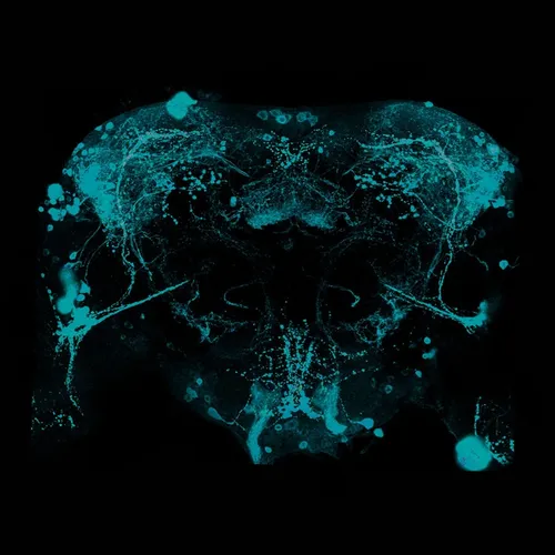 Unfeeling