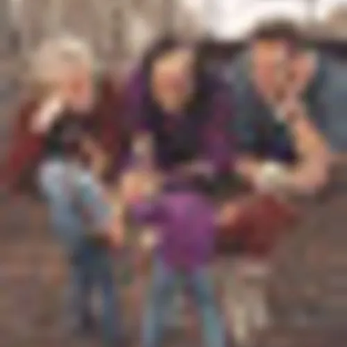 The Amazing Stroopwafels