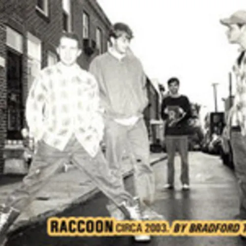 Raccoon
