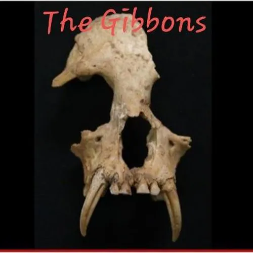 The Gibbons