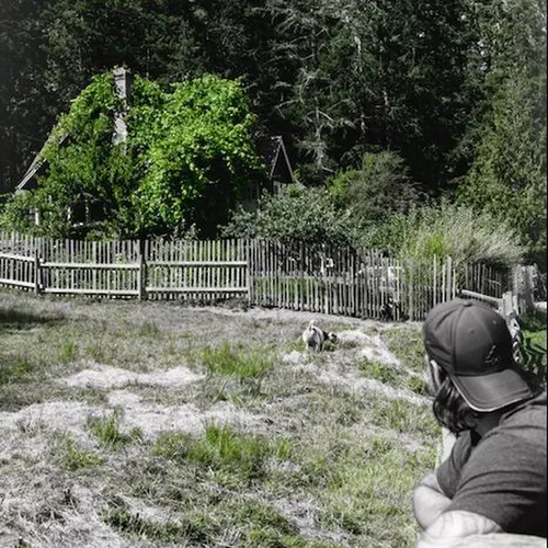 peacebreach