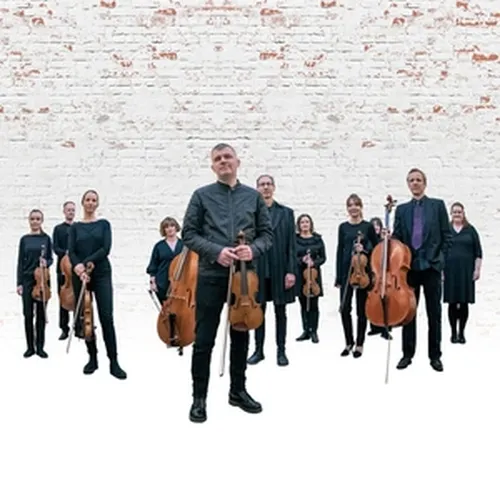 Orchestra Of The Swan