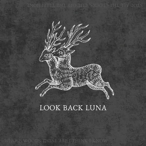 Look Back Luna