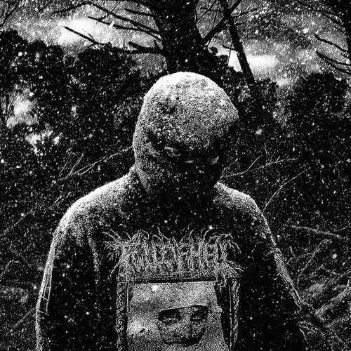 Ozone Dehumanizer