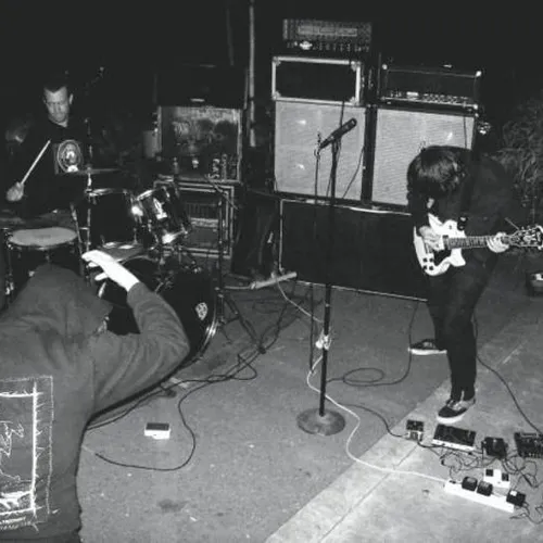 Ash Borer