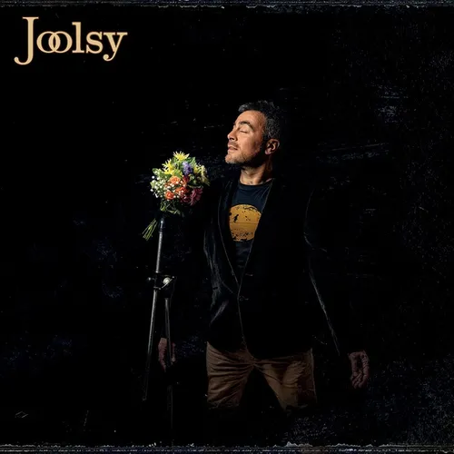 Joolsy
