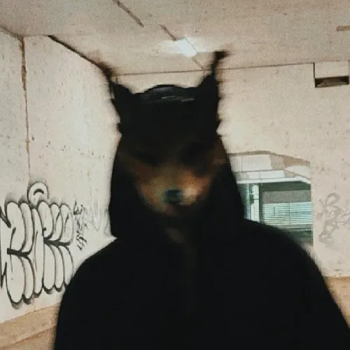 FoxTune