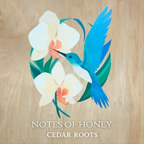 Cedar Roots