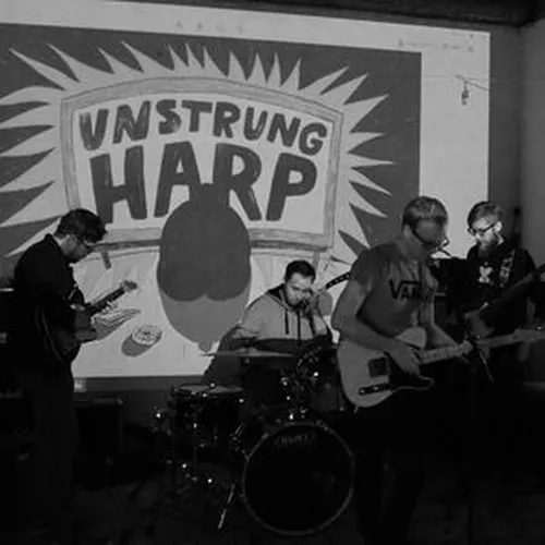Unstrung Harp