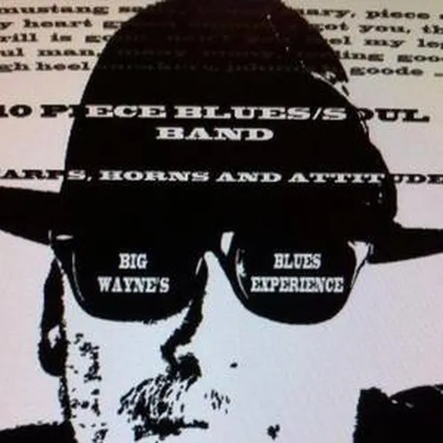 Big Wayne's Blues Experience