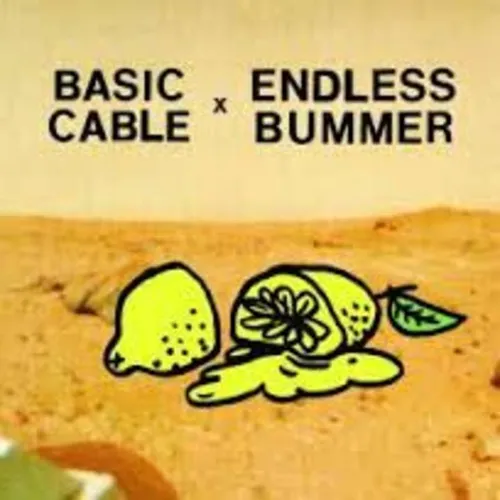 Basic Cable