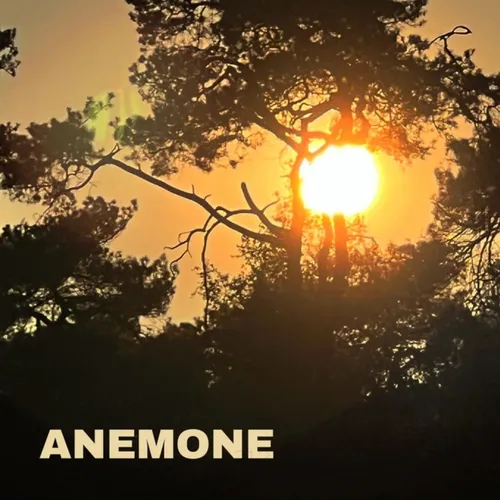 ANEMONE