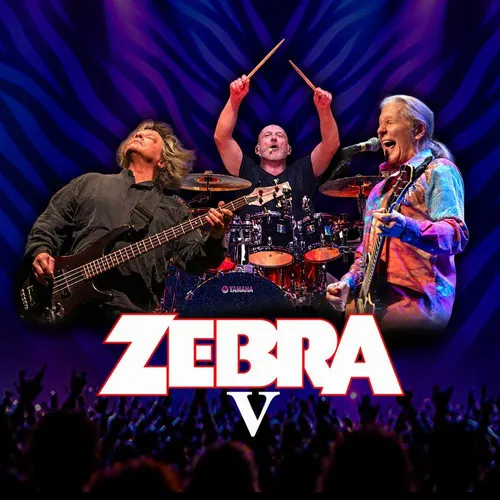 Zebra