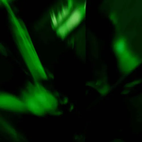Absinthe