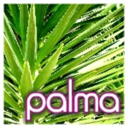 PALMA
