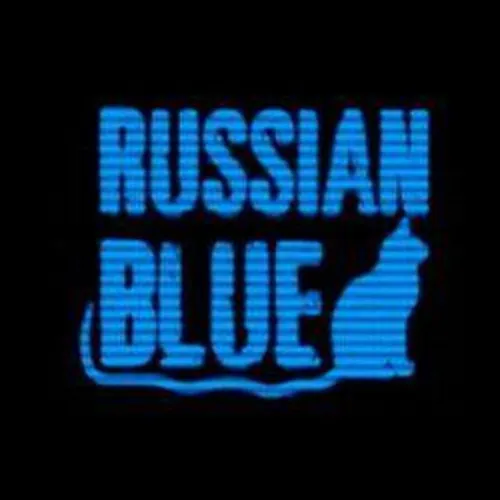Russian Blue