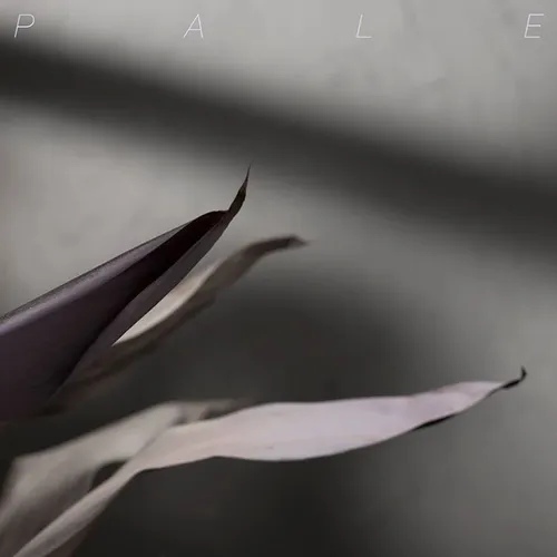 Pale