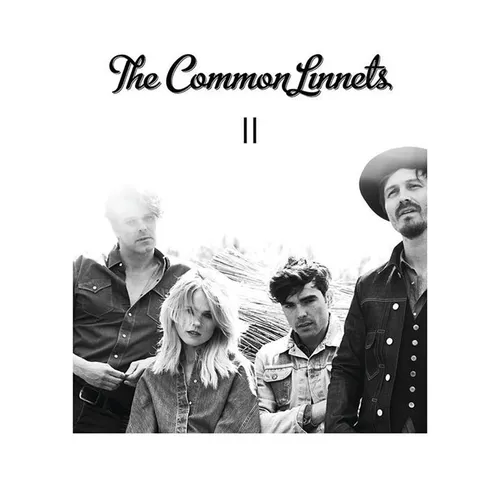 The Common Linnets