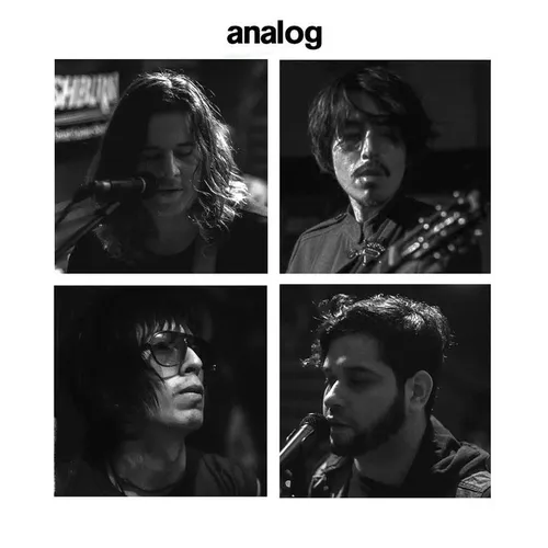 Analog