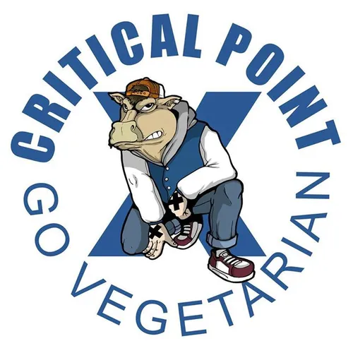 Critical Point