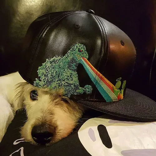 Mochipet