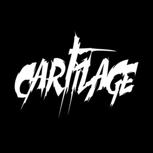 Cartilage