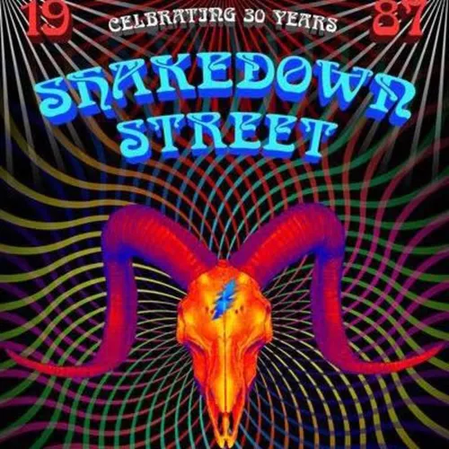 Shakedown Street