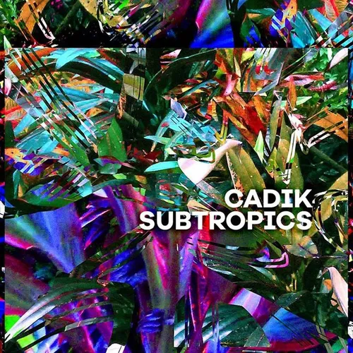 Cadik