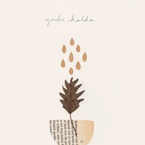 yndi halda