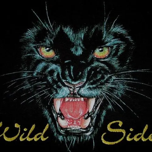 Wild Side Rocks