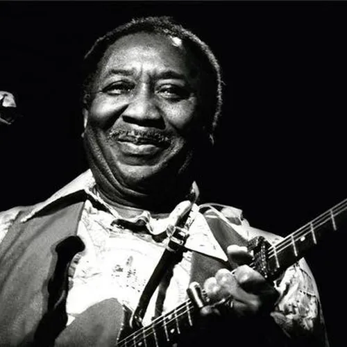 Muddy Waters