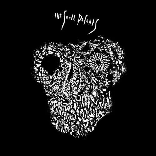 The Skull Defekts